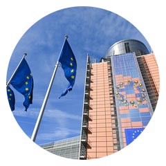 Progetti finanziati EU
